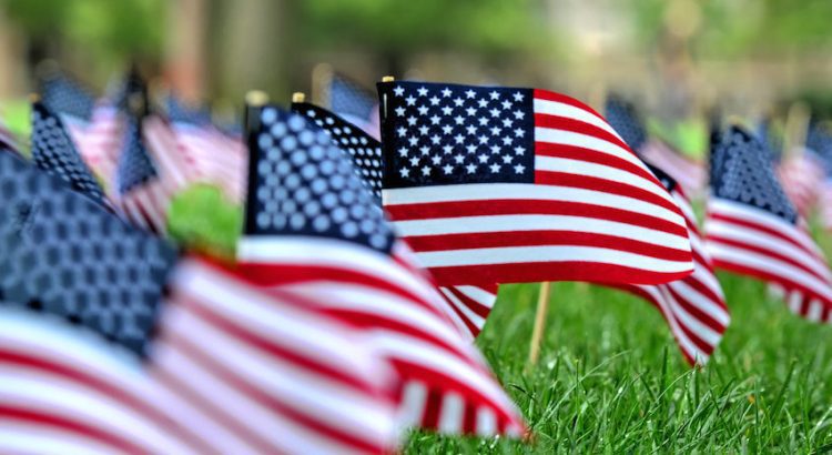 decorative close-up picture of small American flags standing in lines on the grass.