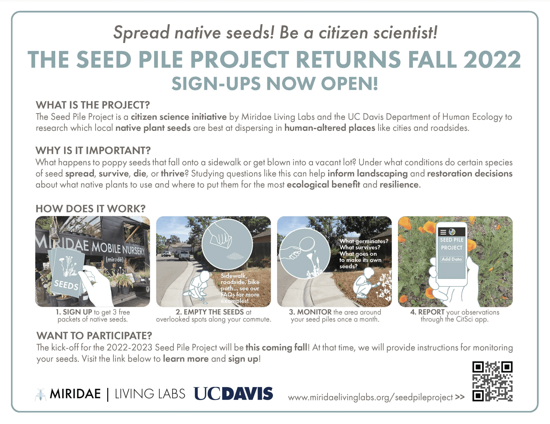 Citizen Scientists Help UC Davis Researchers Spread Native Plant Seeds in Urban Areas