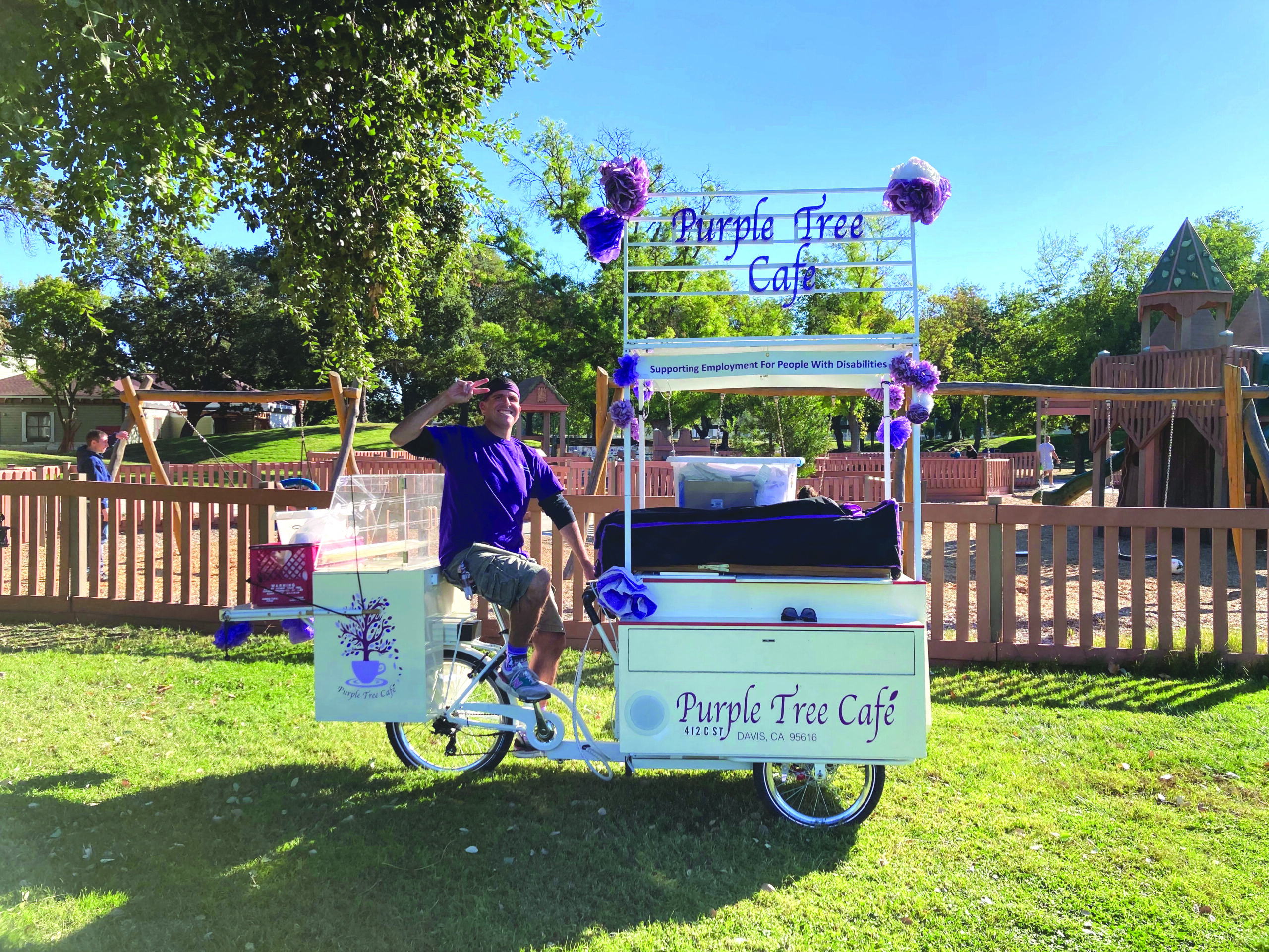 purple tree cafe cart