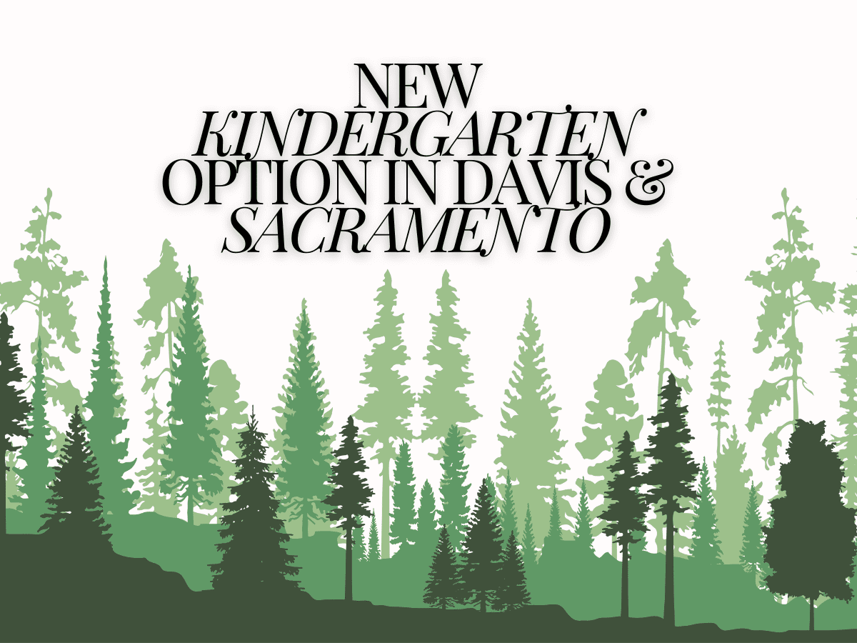 Image for display with article titled New Kindergarten Option in Davis & Sacramento