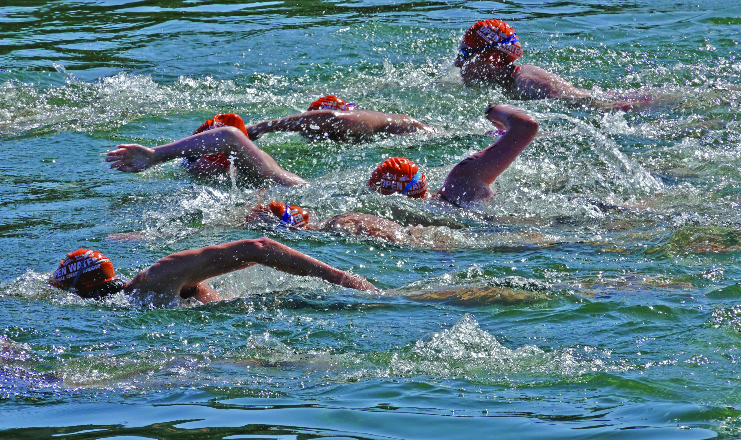 davis aquatic masters