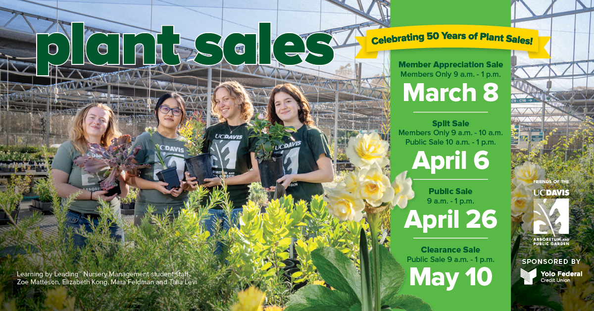 S25_FB_Event_Banner_Dates