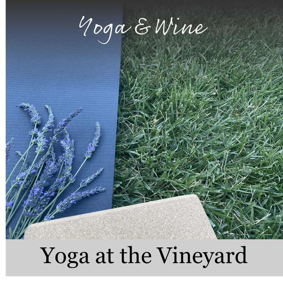 Yoga at the Vineyard