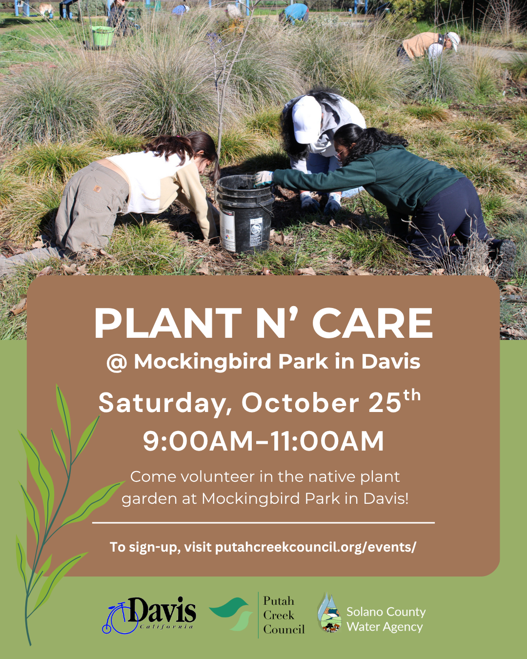 Plant Care @ Mockingbird Park in Davis