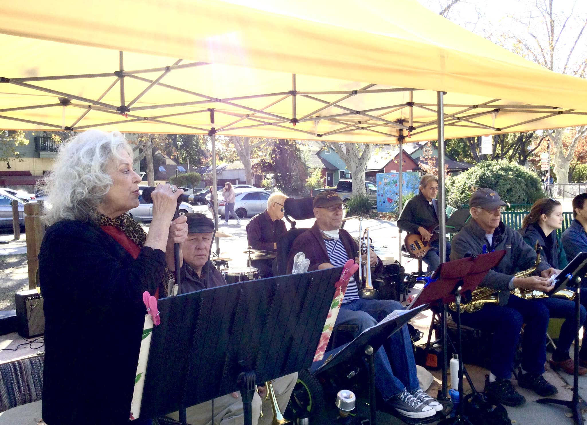New Harmony Jazz Band @ Davis Craft & Vintage Fair