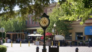 IMAGE COURTESY: DISCOVER WINTERS