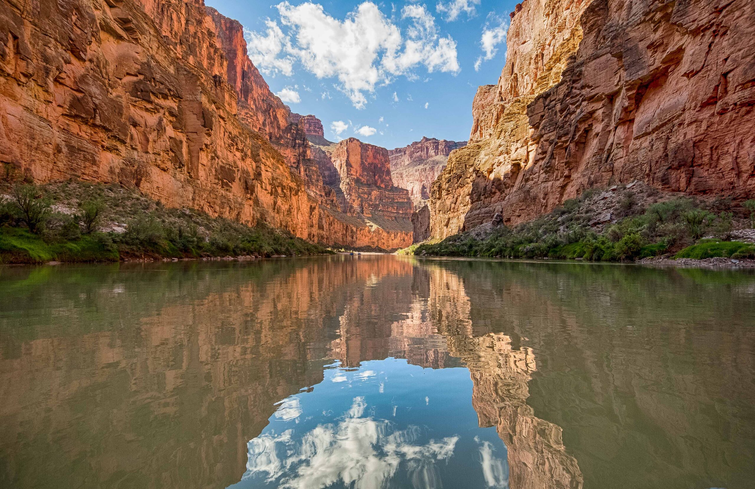 Photography Club of Davis